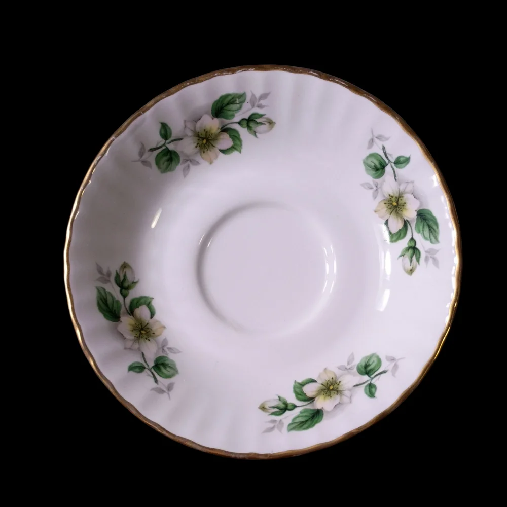 Blue Bird Fine Bone China Vintage‎ Teacup and Saucer